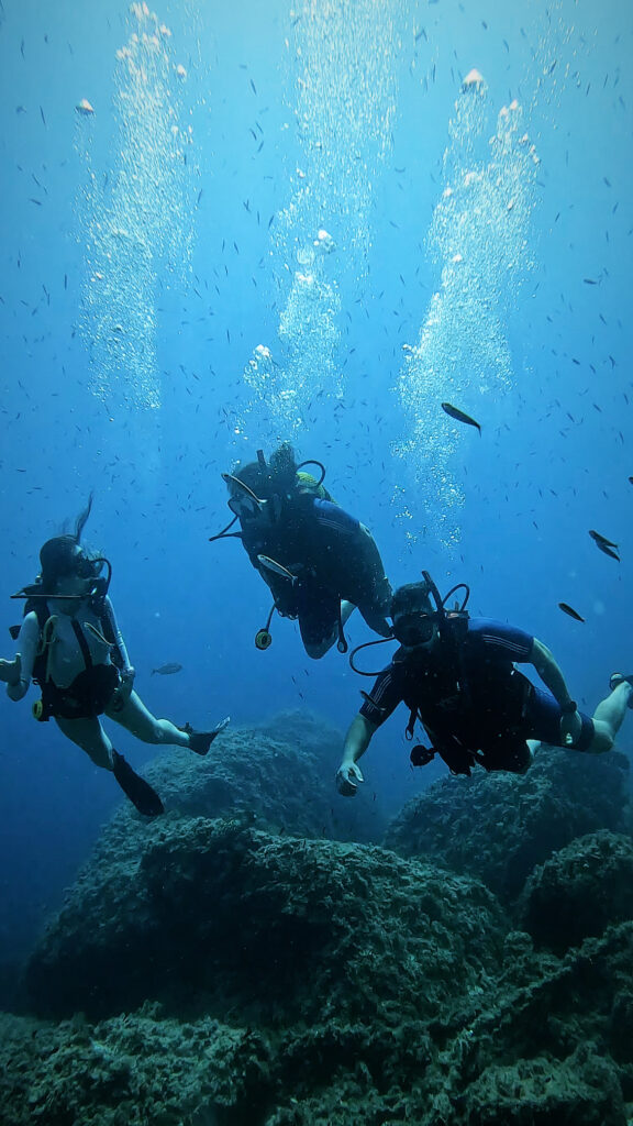 Private diving PADI instructor