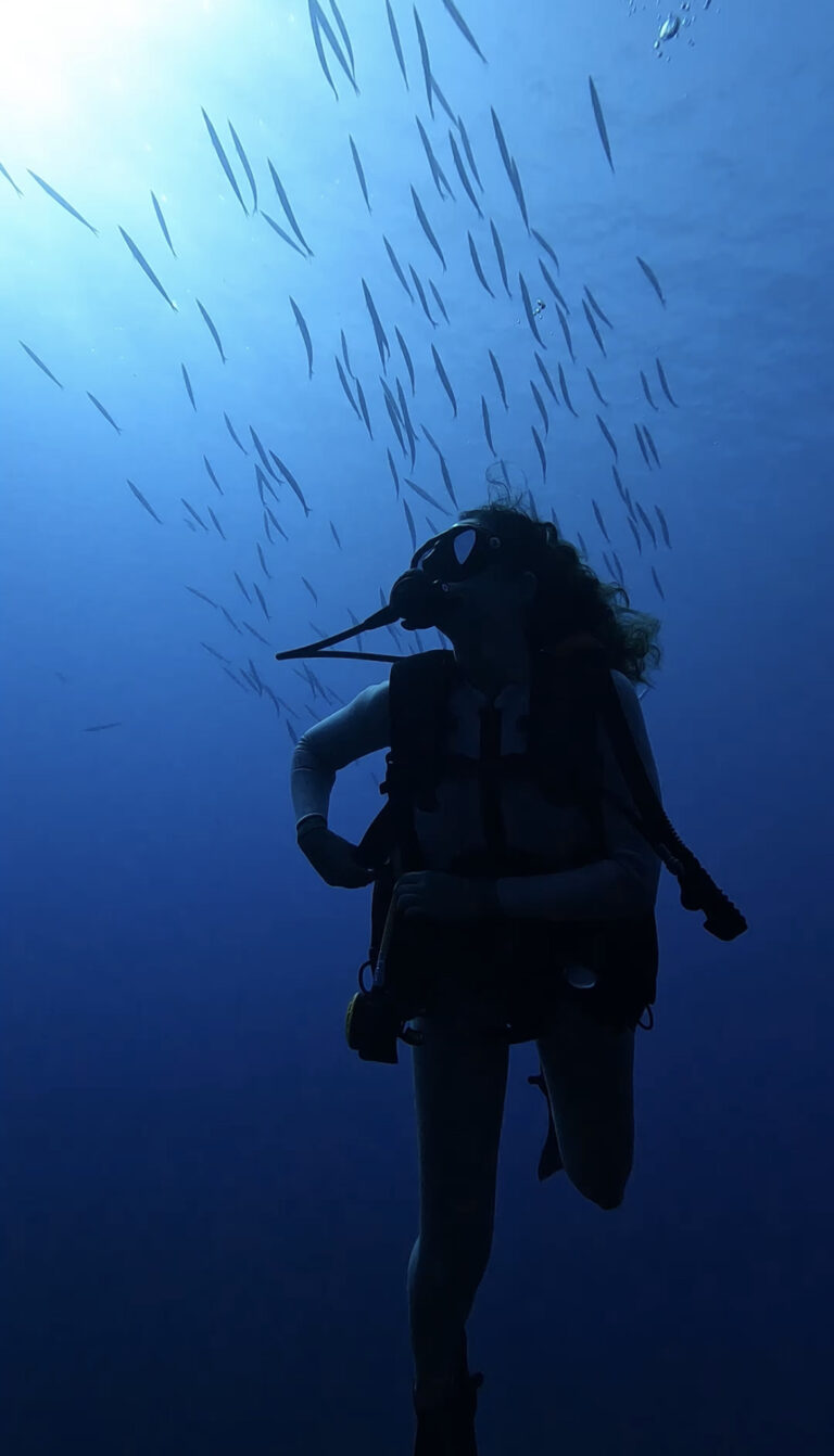 Diving in Mallorca with Barracudas