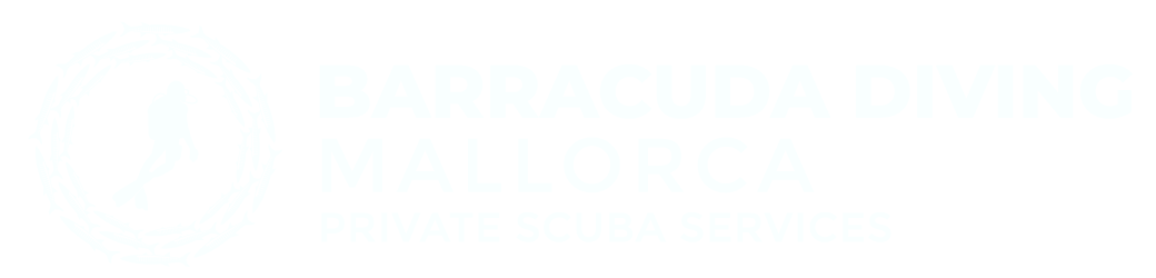 Barracuda rectangular blancoaa